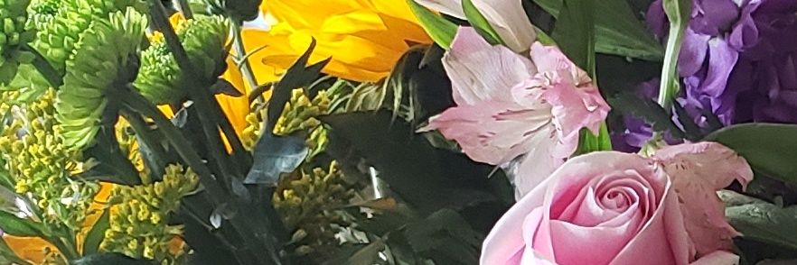 curleeeque's profile banner image