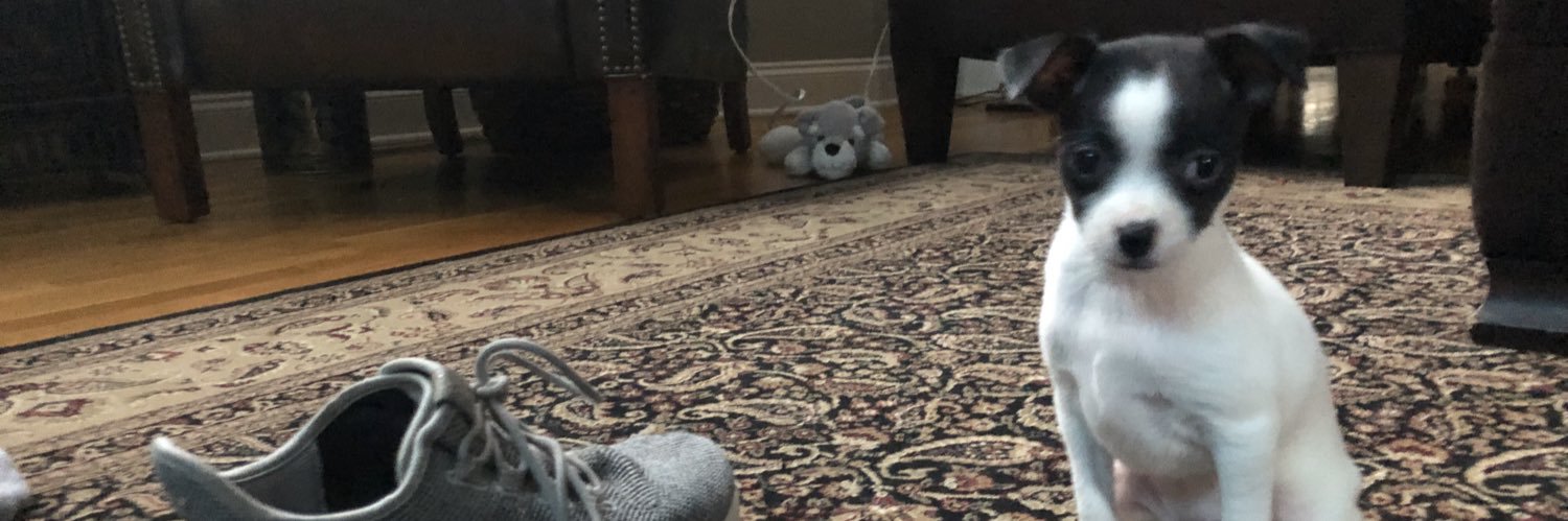 RallySquirrel_'s profile banner image