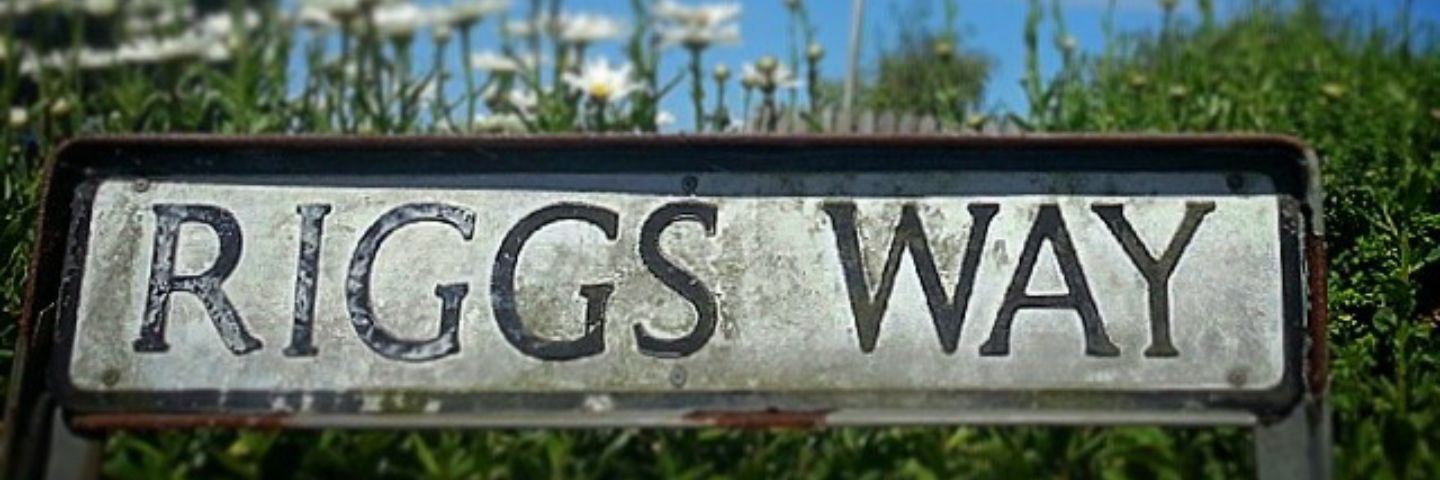 stewriggs's profile banner image