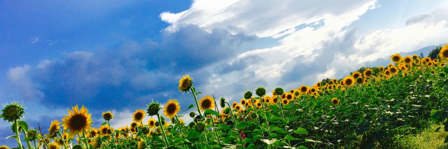DJRUIJI's profile banner image