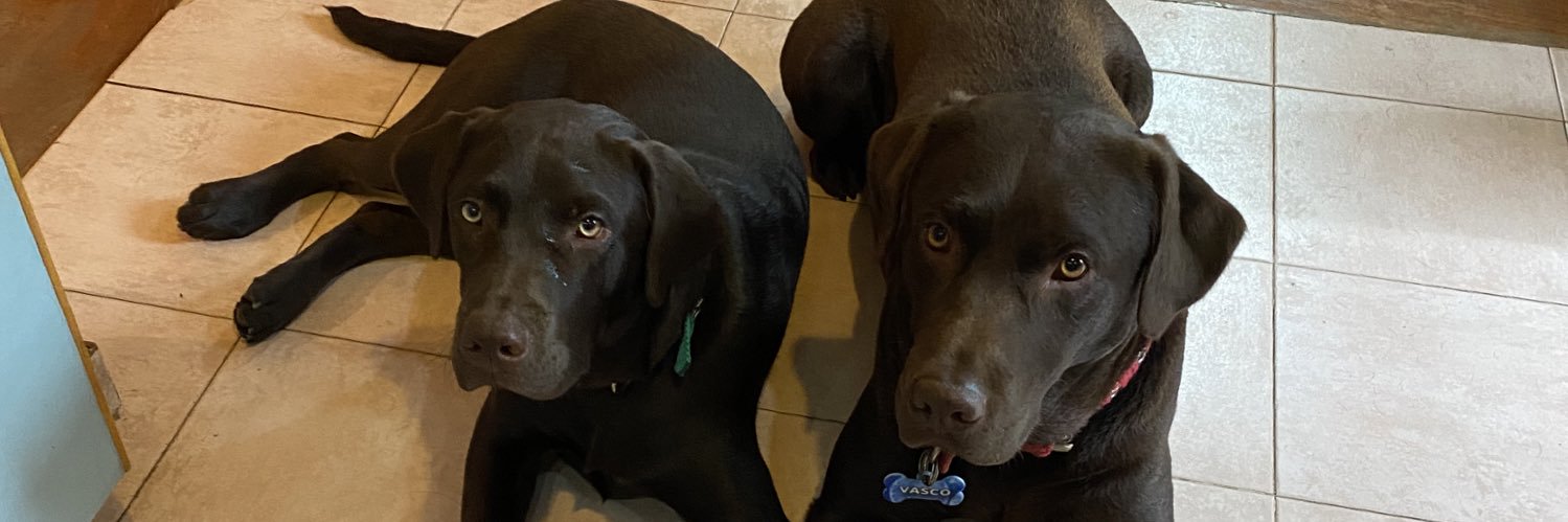 kari ✿☀️ banner