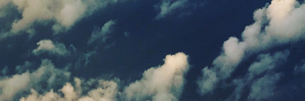 antony lea banner