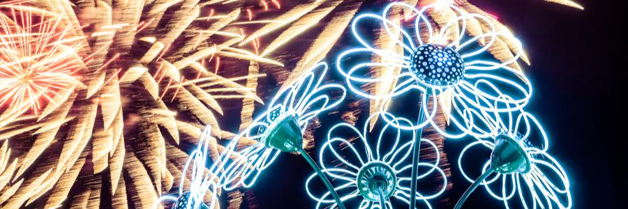 Isadora Rennie banner