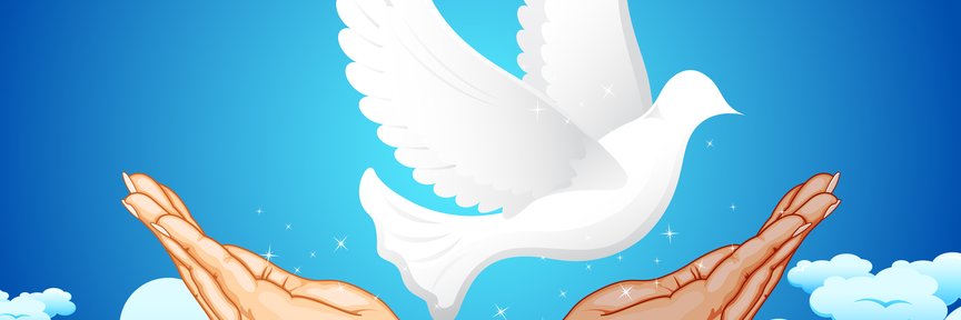 Picureblanco123's profile banner image