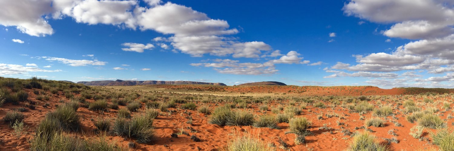 Kanitha Krishnasamy banner