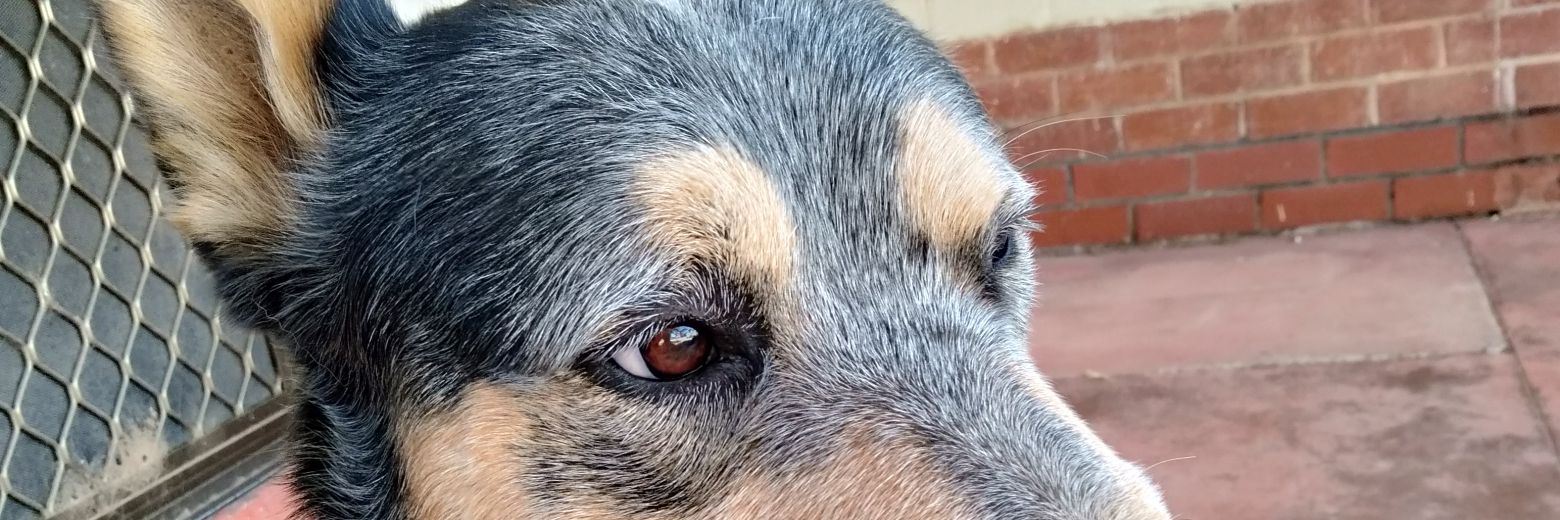 acandrews66's profile banner image
