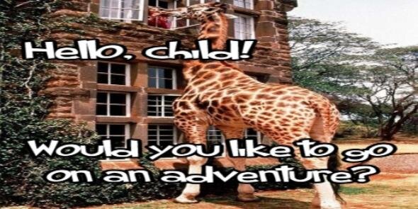 CFalconForever's profile banner image