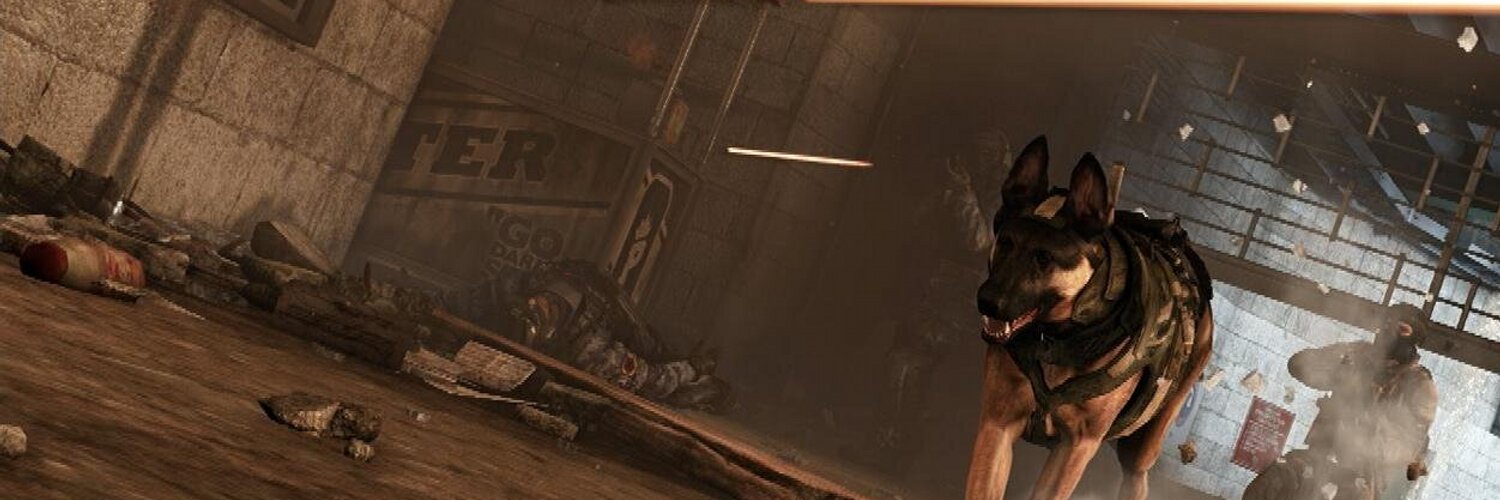 ライリーさん (cod_standby) Twitter