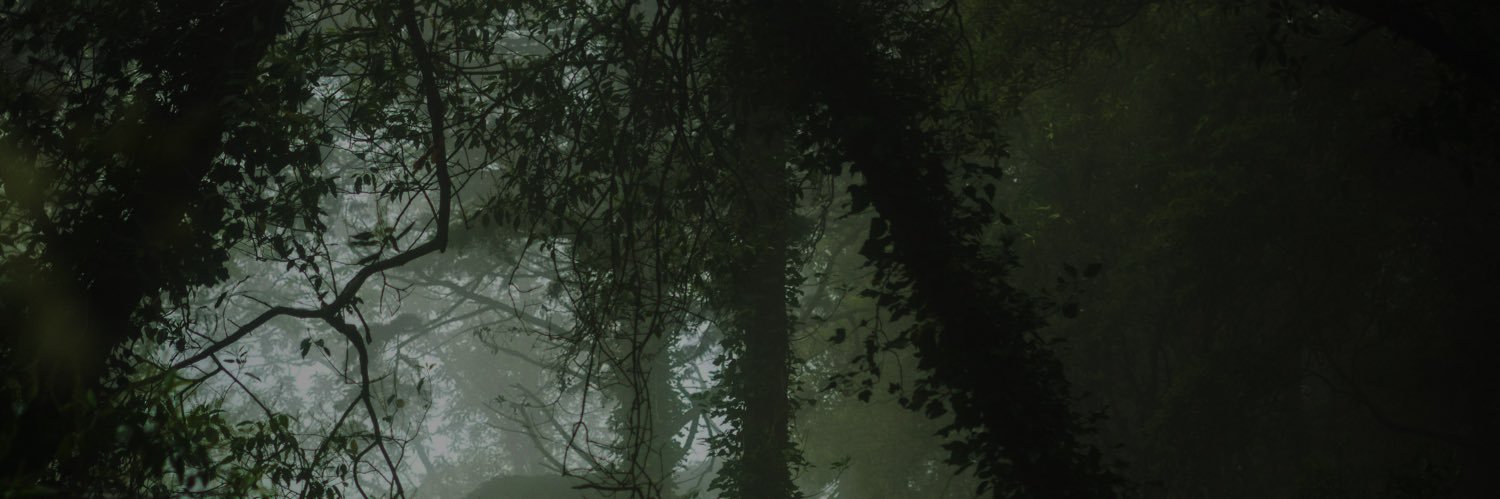 tinovinoooo's profile banner image