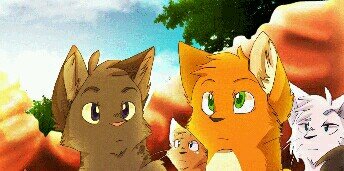 SquirrelBreeze's profile banner image