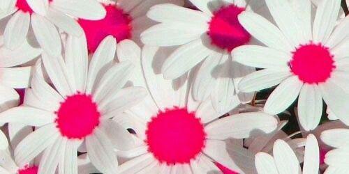 Citrawatiikaw's profile banner image