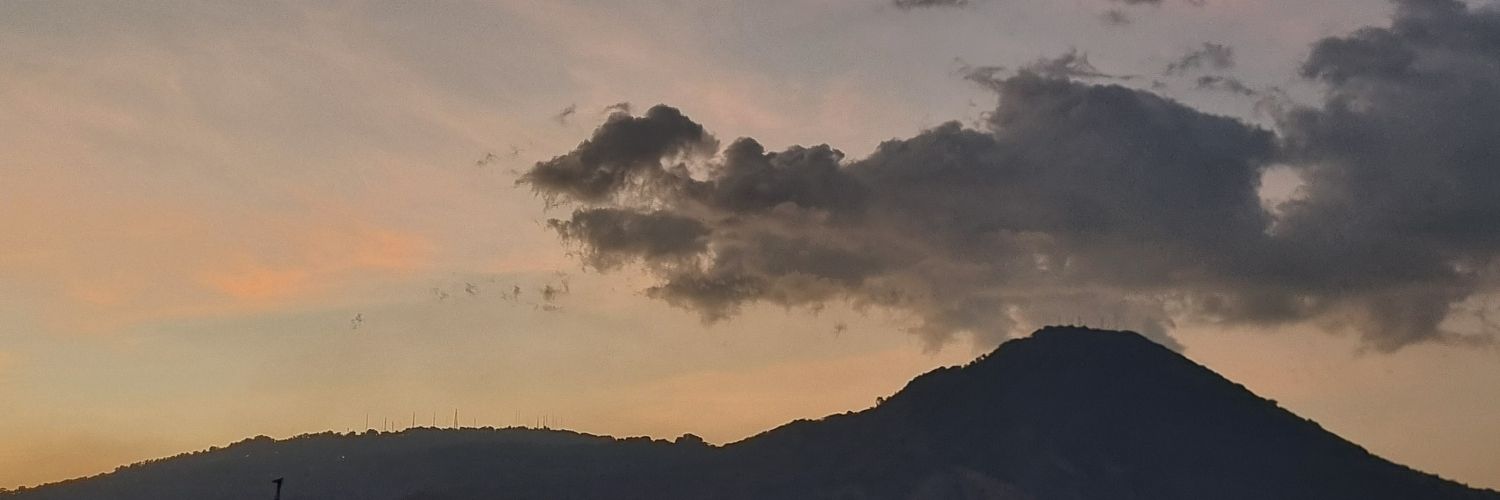 RoxyRosaless's profile banner image