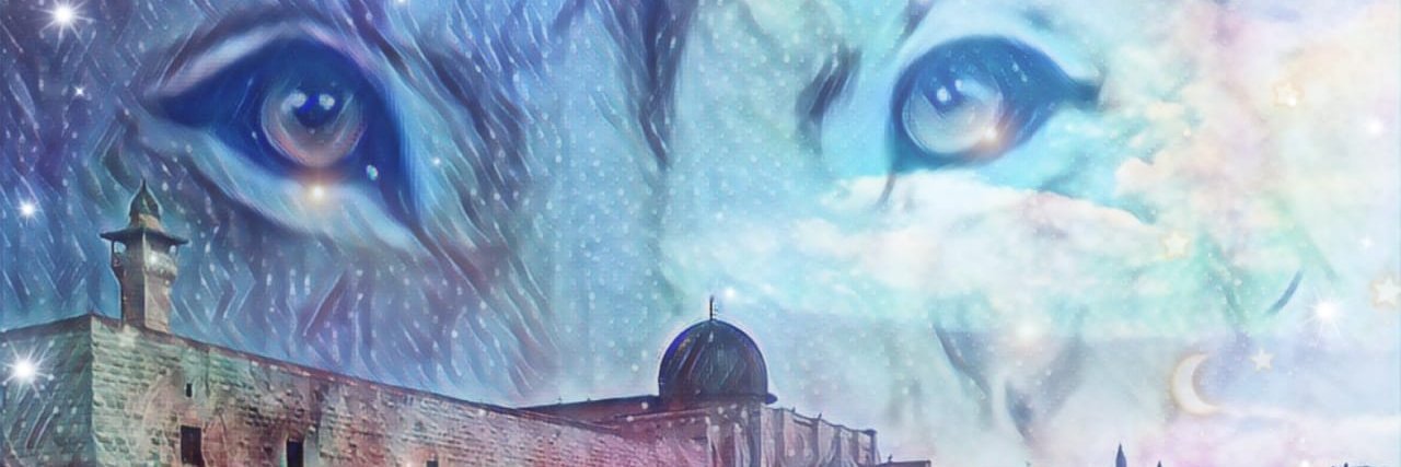 SouzaAlinelima's profile banner image