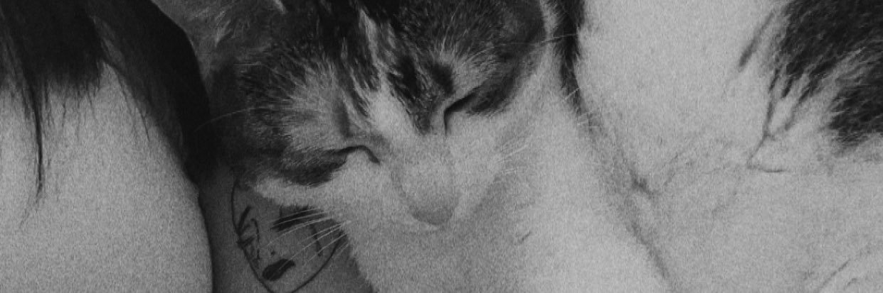 Mylenephl's profile banner image