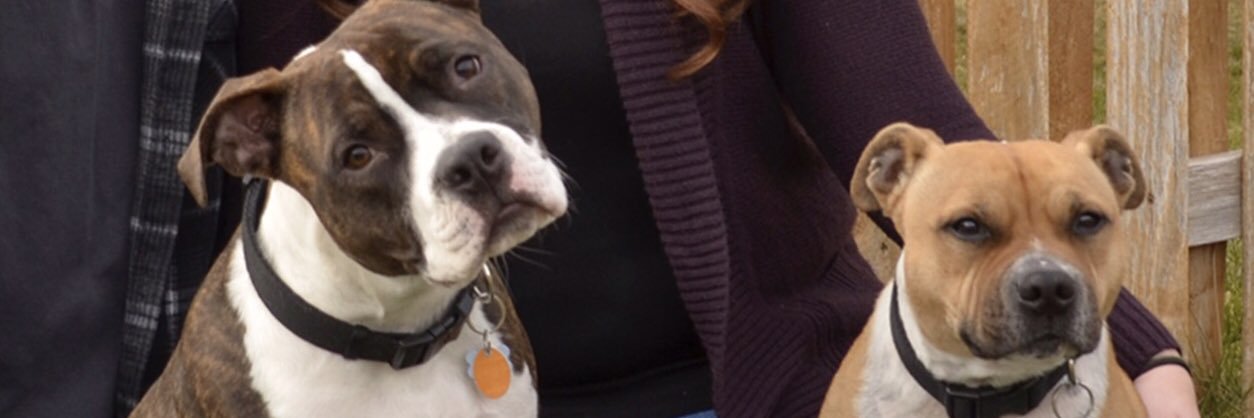 CahillKrysten's profile banner image