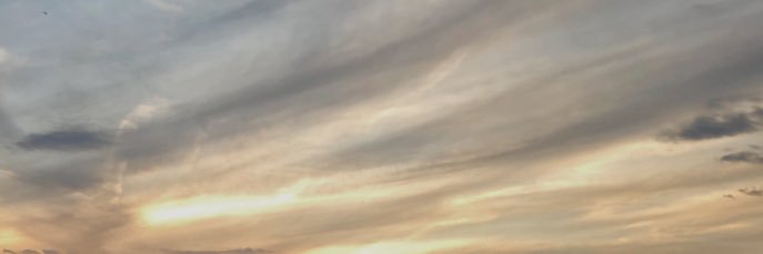 Noah banner