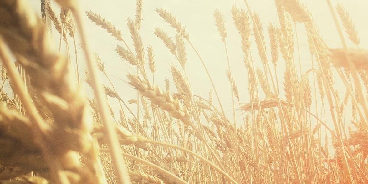 Be The Change Intl banner