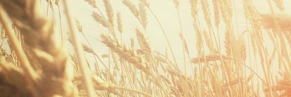 BeTheChange_Int Profile Banner