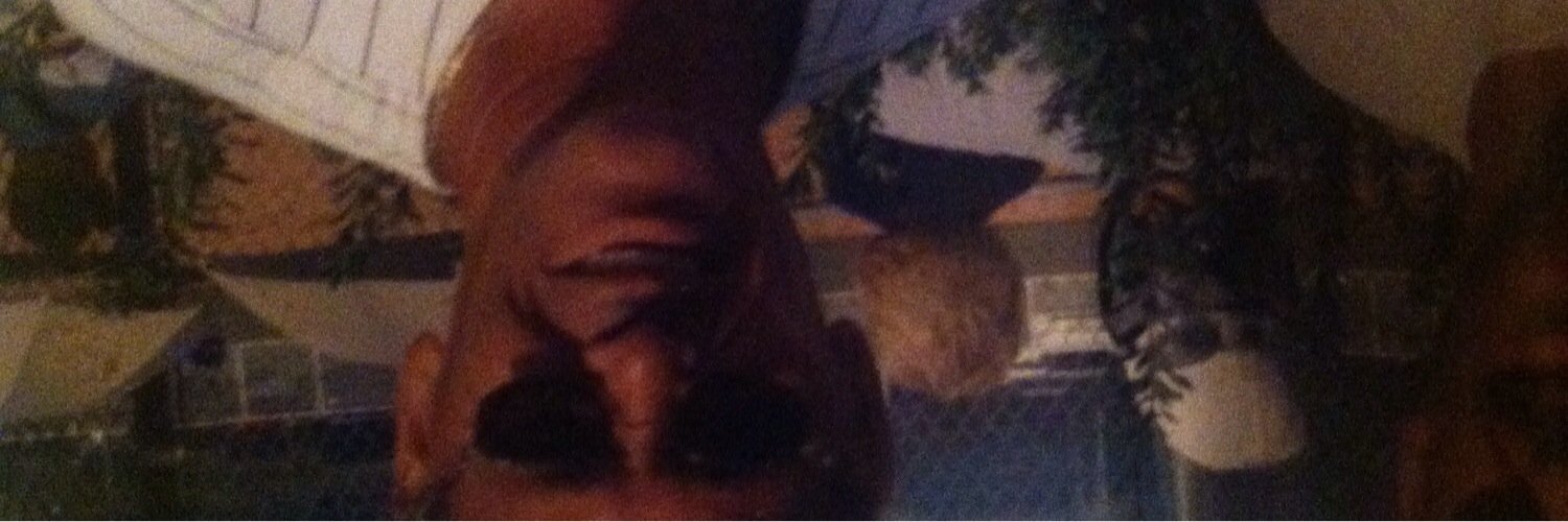 Wes Holly Sr. banner