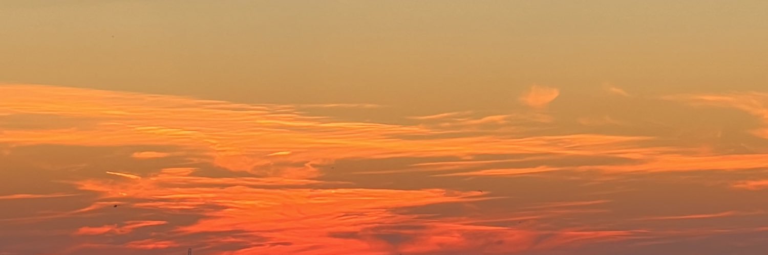 allicanalli's profile banner image