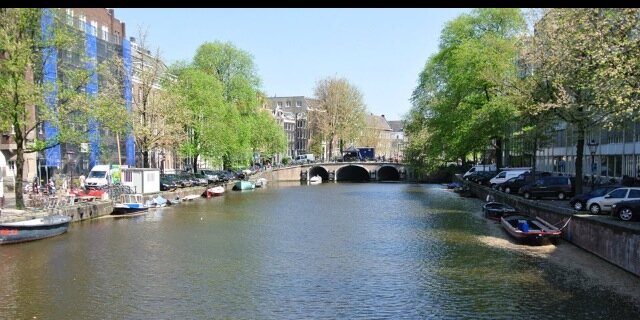 Emily Nicholls banner