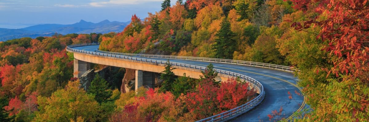 Thayer Moeller banner