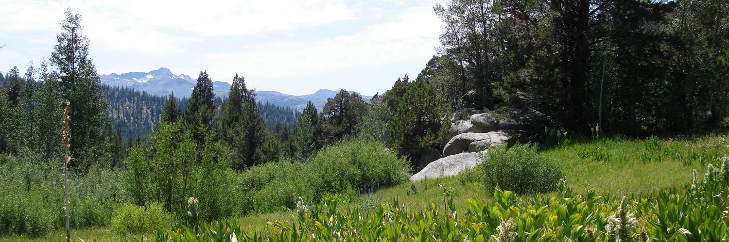 Lisanne Glavich-Feral Until Further Notice banner