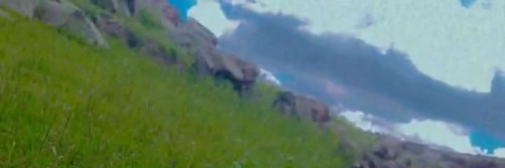maryamalkmal's profile banner image