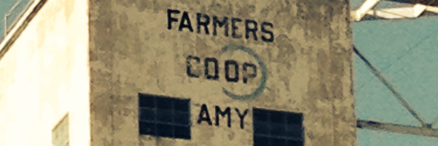 Amy Kuppetz banner