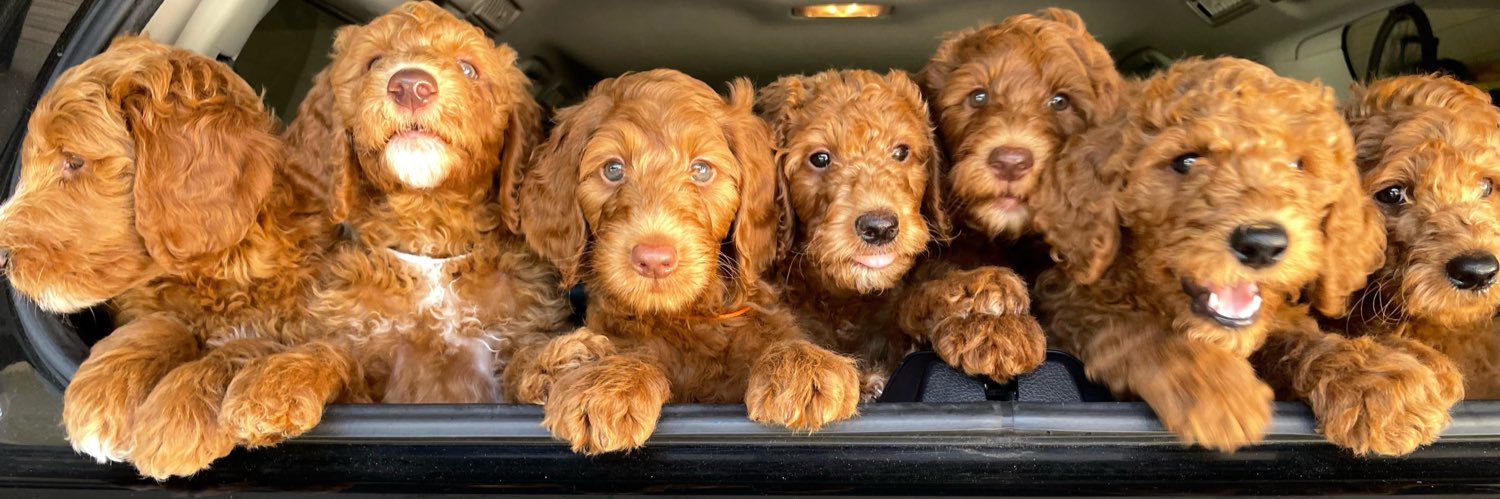 Mike Valletutti 🎯 banner