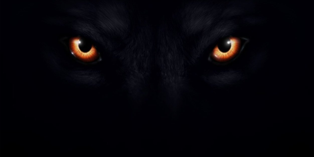 wolfeastsquad's profile banner image