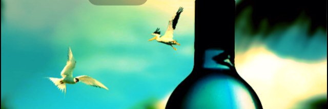 hmhalwy's profile banner image