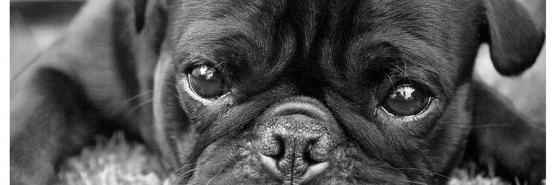 ely_espinosa's profile banner image