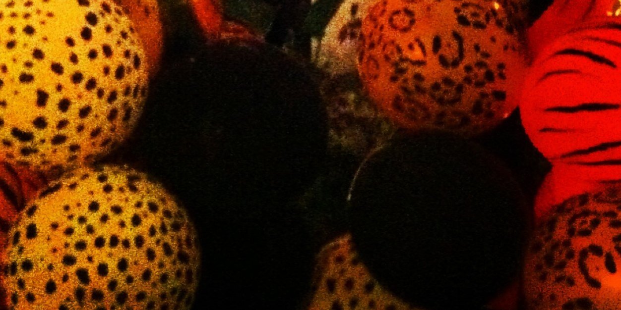 Tiggerina17's profile banner image