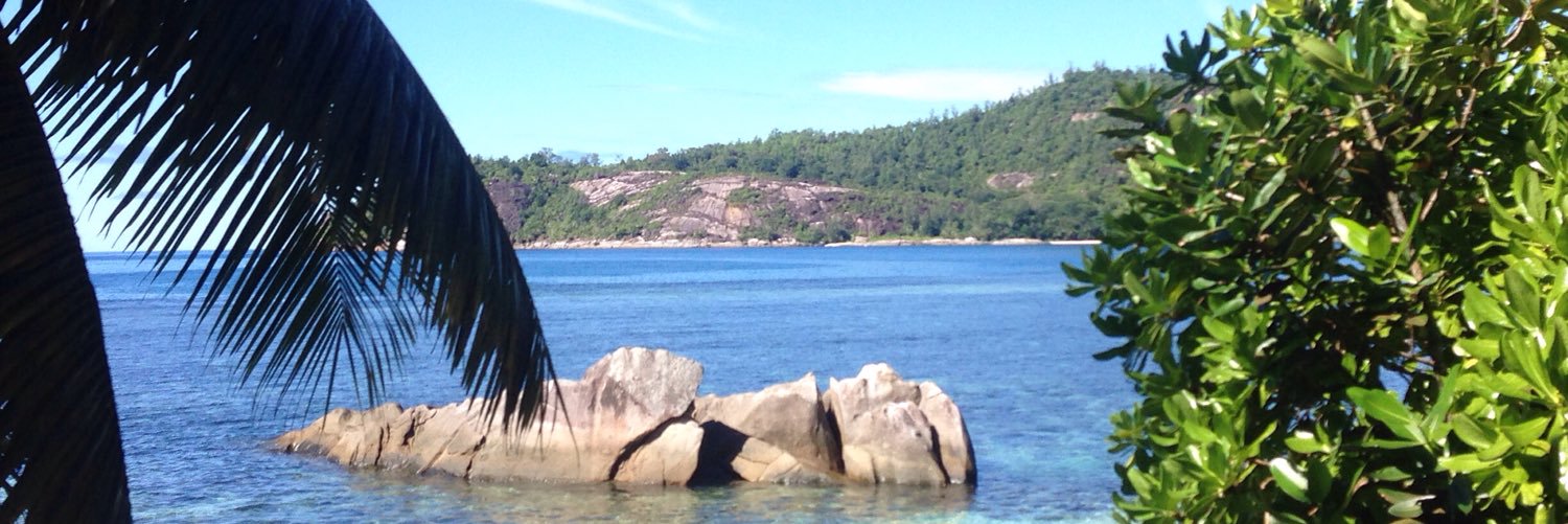 tchoupiko's profile banner image