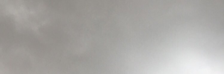 Maryam Halawi banner