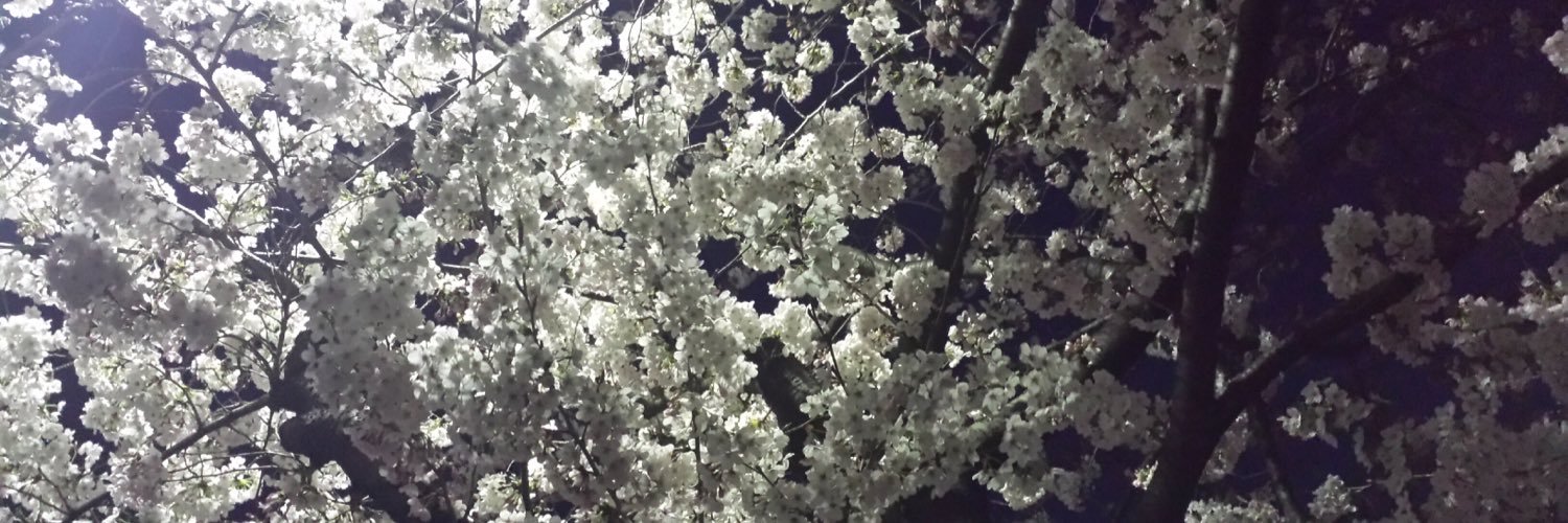 BkSynchronicity's profile banner image