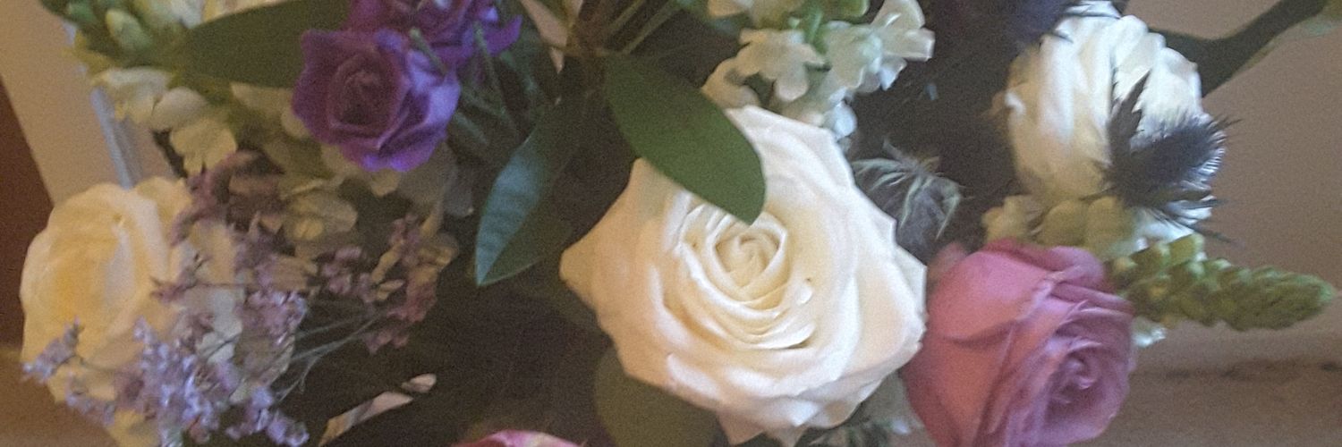 snowflake321's profile banner image
