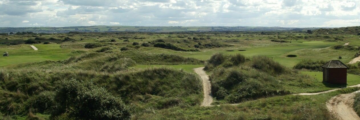 Devon Alliance banner