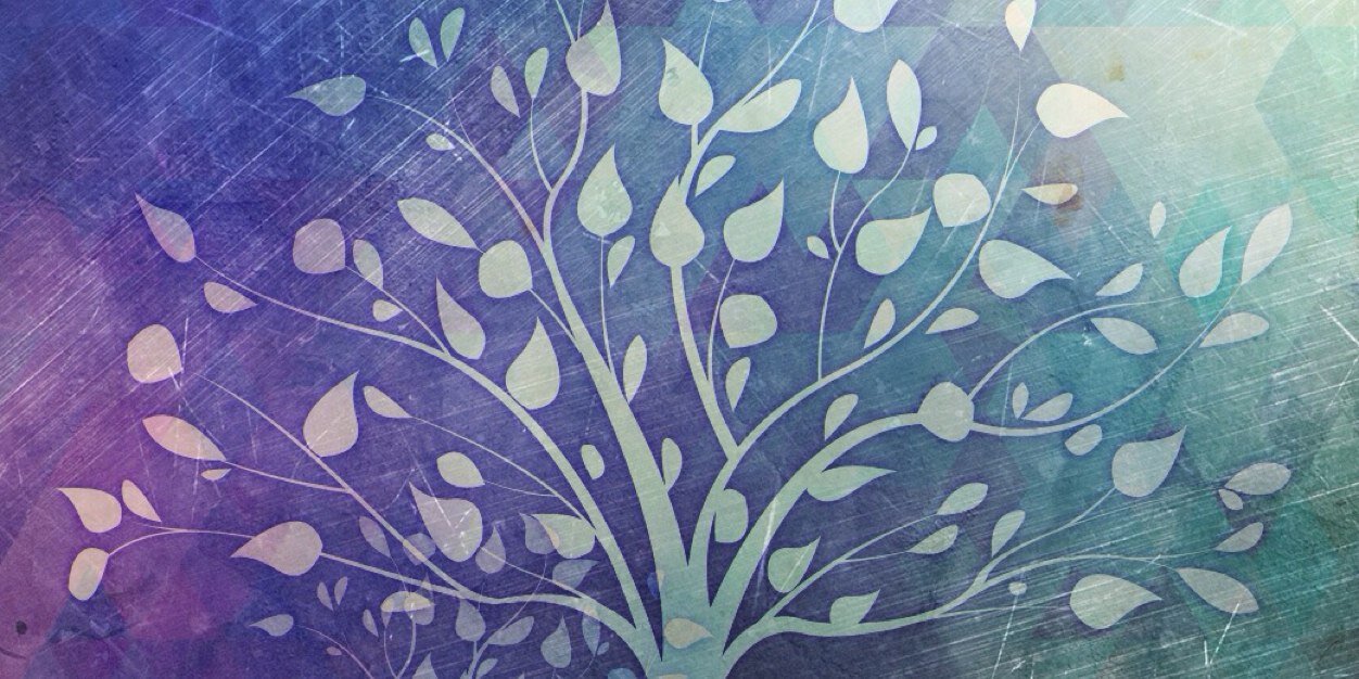 ElisePowellMTBC's profile banner image
