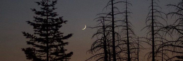 Aghitha_biru's profile banner image