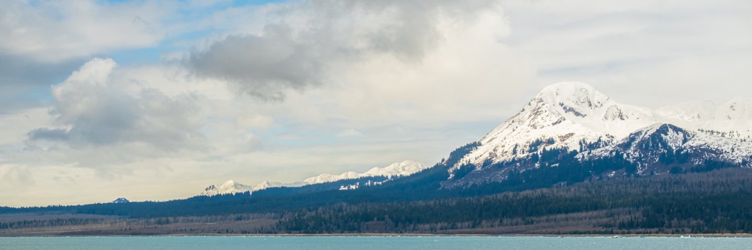 adamillsley's profile banner image