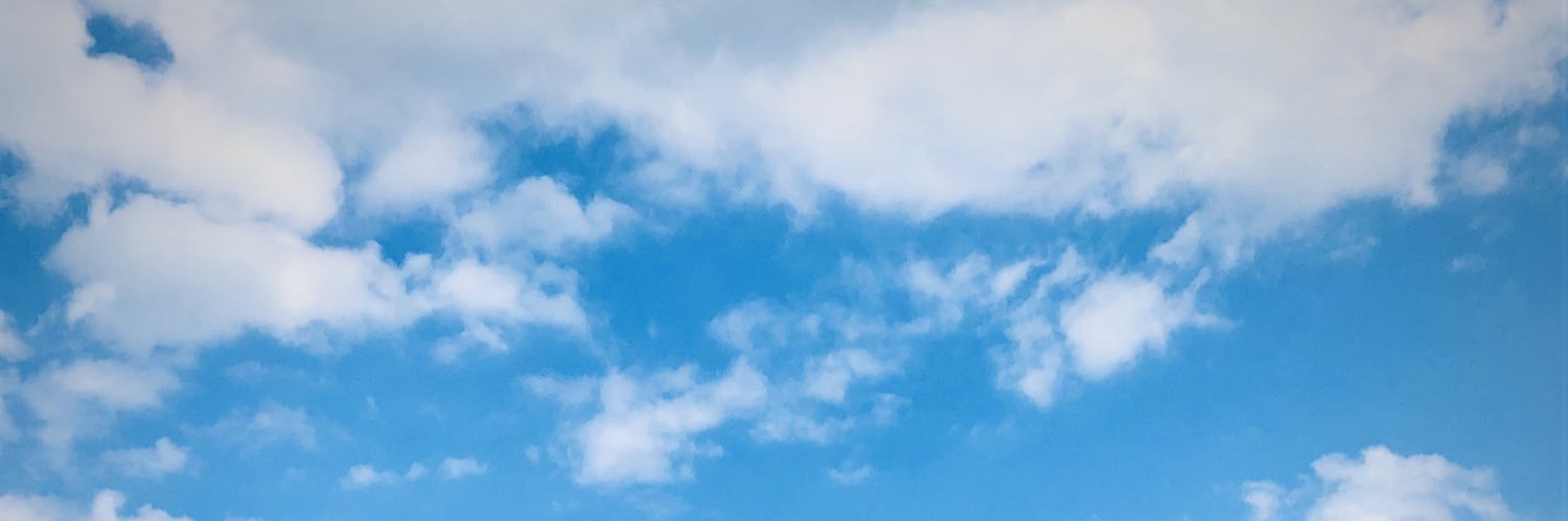 wlztwxbs's profile banner image