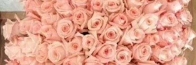 omsaif1234's profile banner image