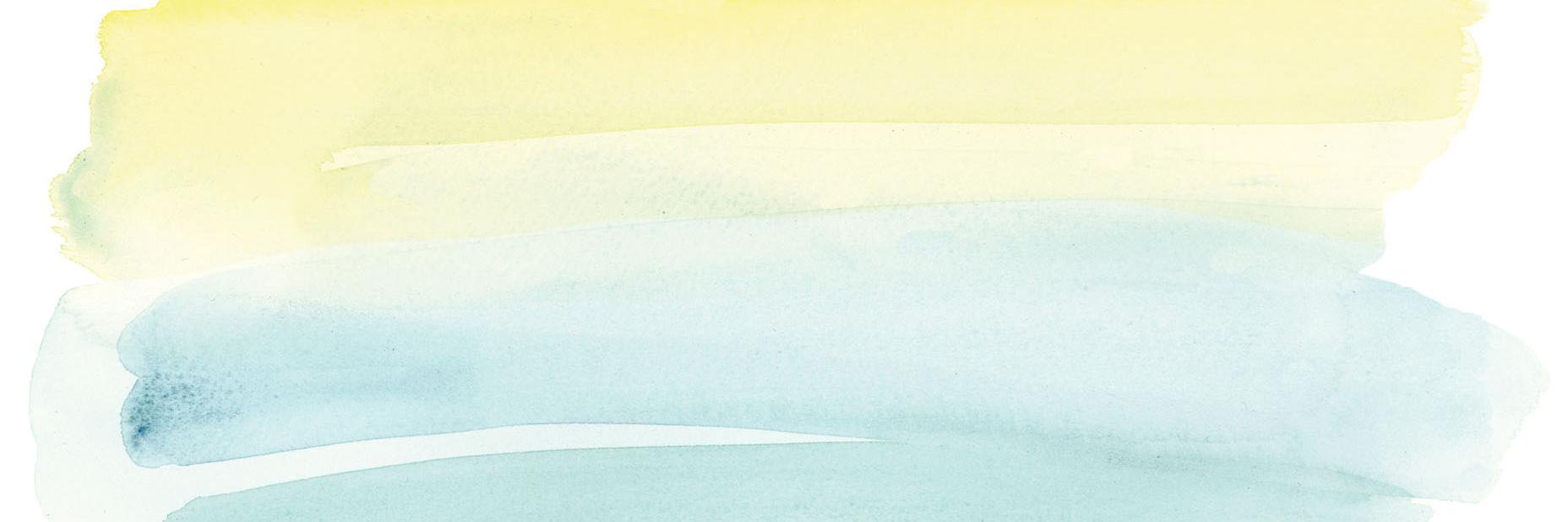Cecile Klawatsch banner
