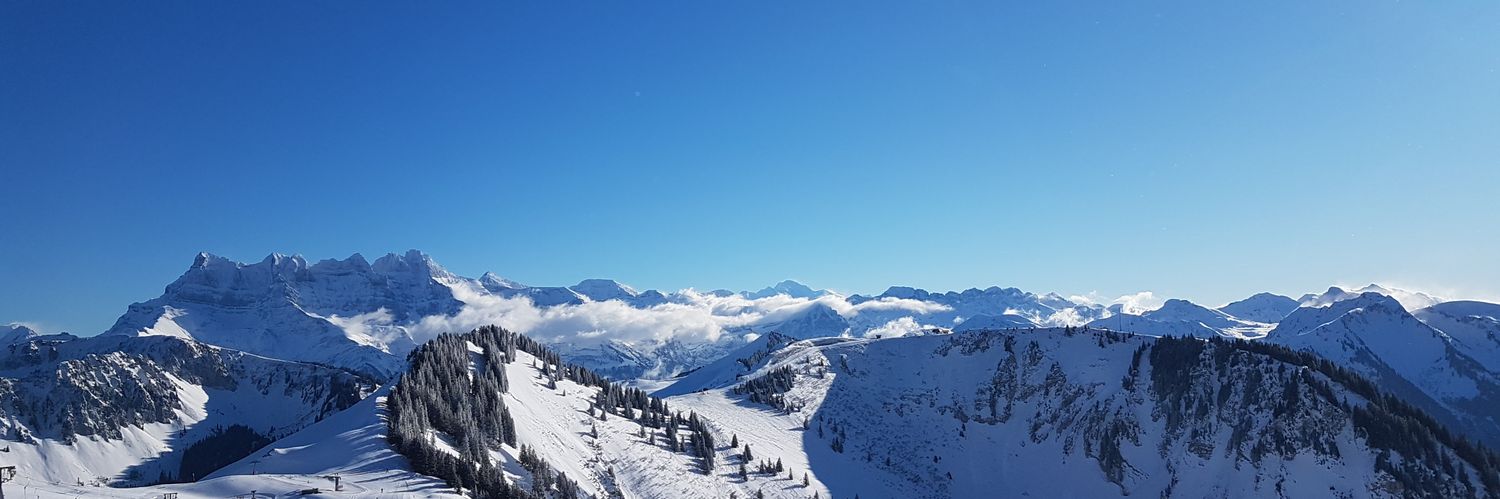 Mathieu_Refford's profile banner image