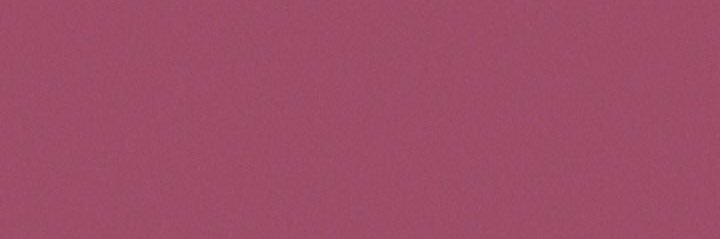 117Selena's profile banner image