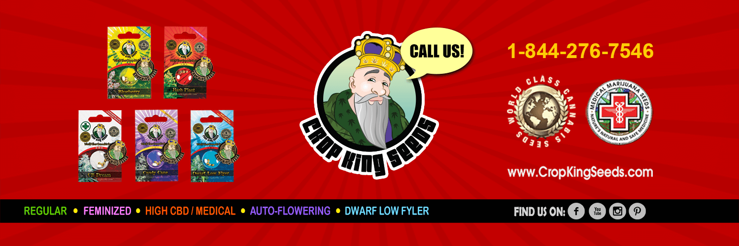 CropKingSeed's profile banner image