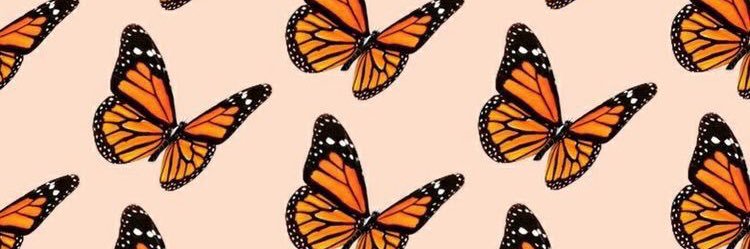 bridgette_shall's profile banner image