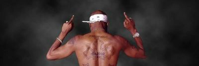 StegKocsis's profile banner image